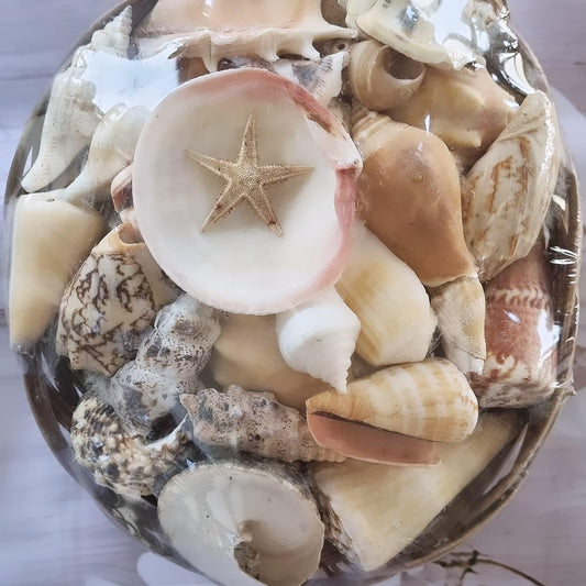Cesta média com conchas e estrela-do-mar decorativa