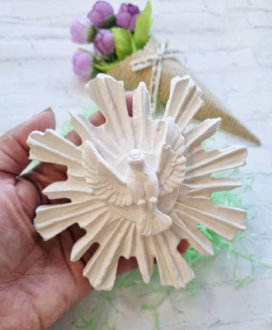 Relevo de pomba do Espírito Santo branco com raios, visto de perto com mão
