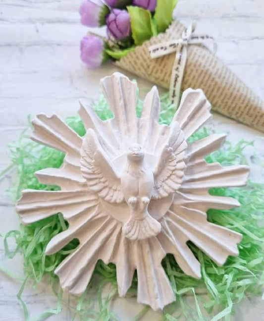 Relevo de pomba do Espírito Santo branco com raios, forma circular