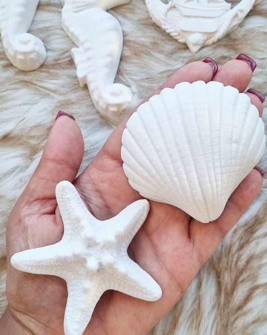 Molde Estrela do mar