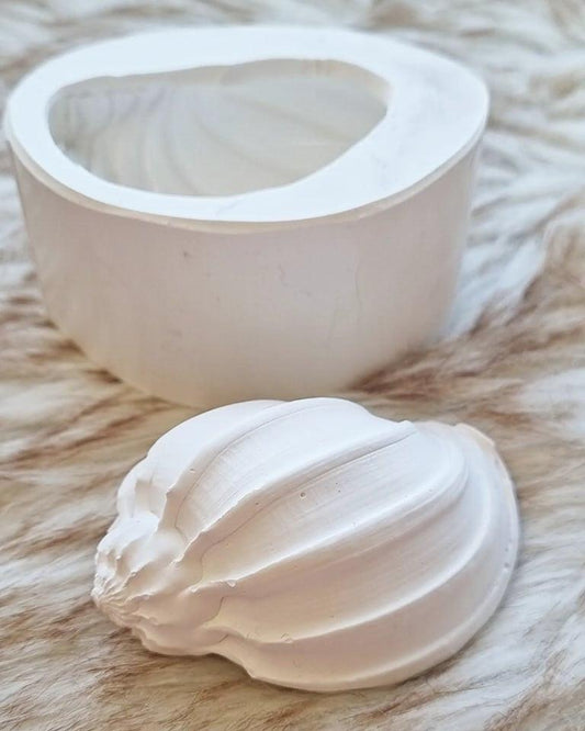 Molde de búzio 3D branco, em formato de concha com relevo