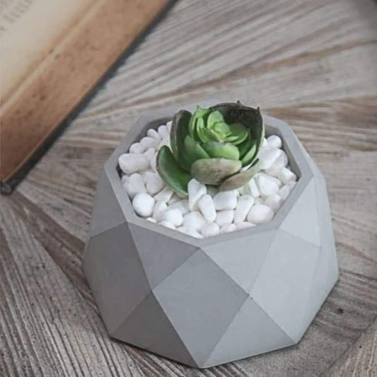Molde de vaso diamante cinzento poligonal com suculenta verde e seixos brancos
