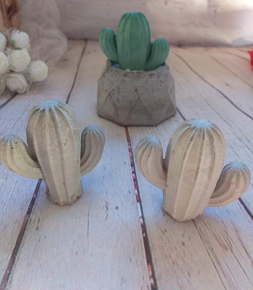 Molde cacto